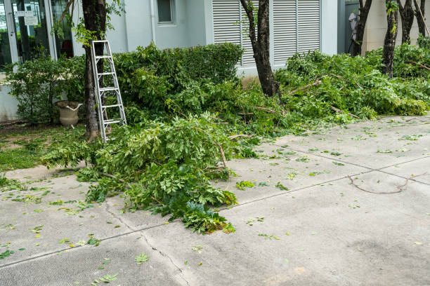  Clayton, AL Tree Service Pros